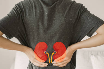 신장이 안 좋으면 나타나는 증상 신장에 좋은 음식 신장 이상 증상 신장 결석