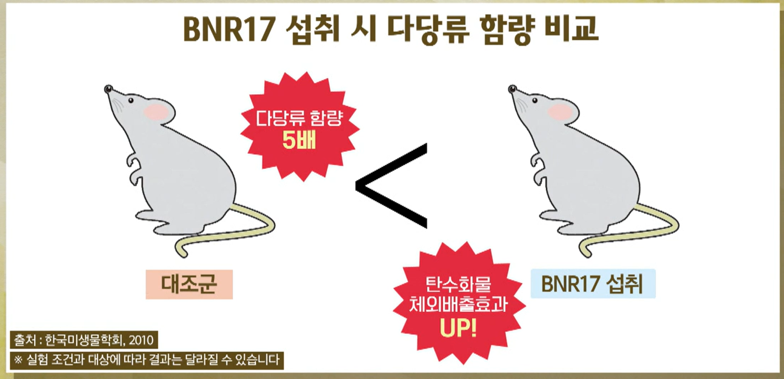 BNR17유산균 효능