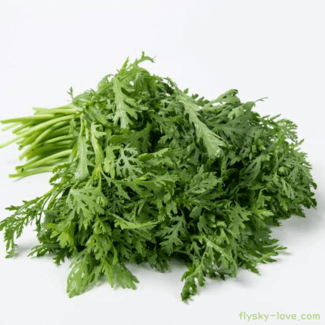 간에 좋은 인진쑥