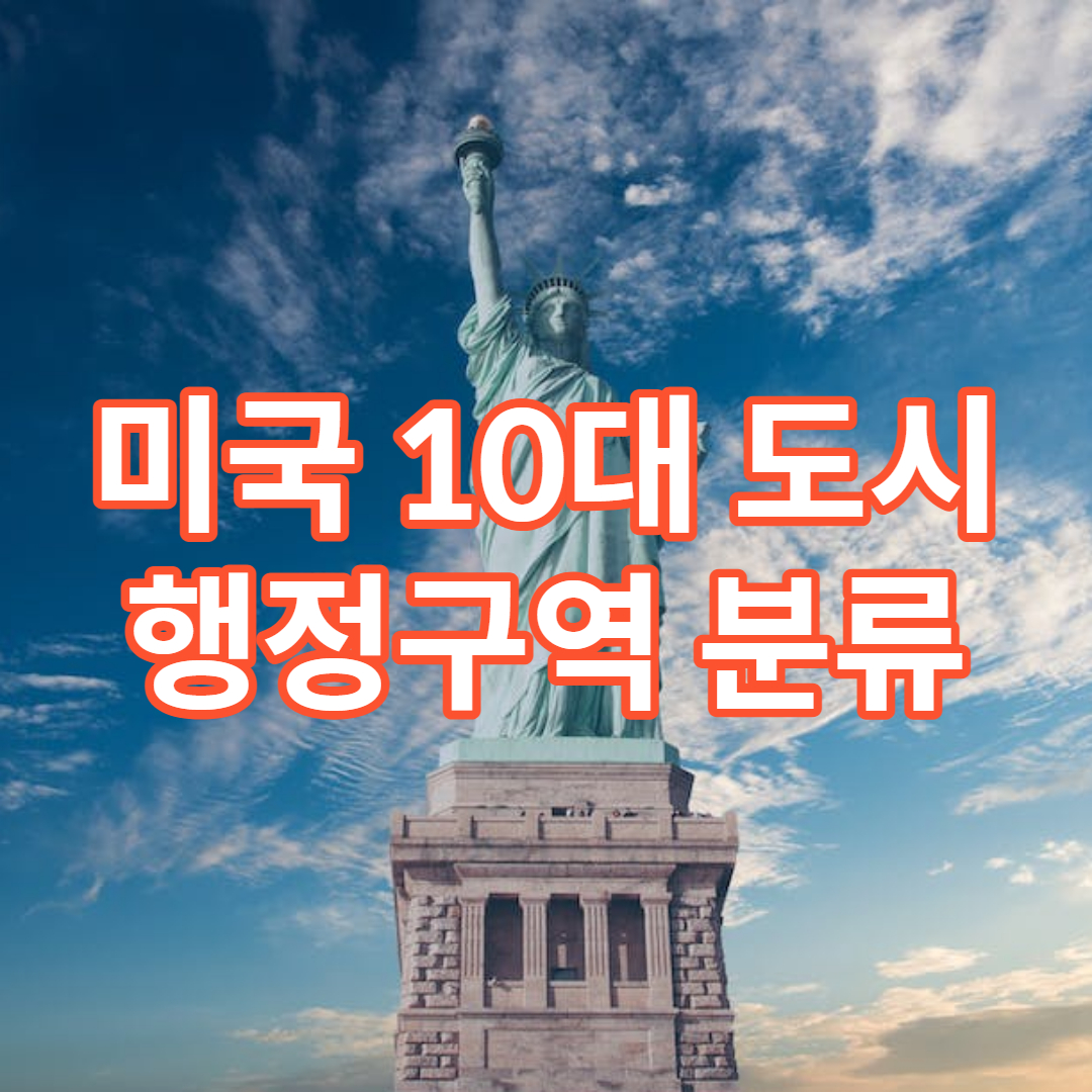 미국 10대 도시 행정 구역