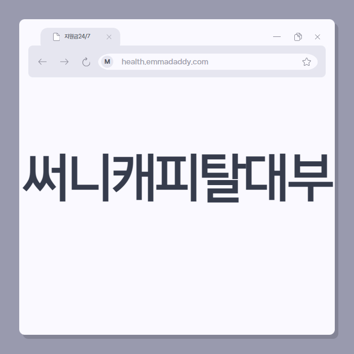 써니캐피탈대부 01