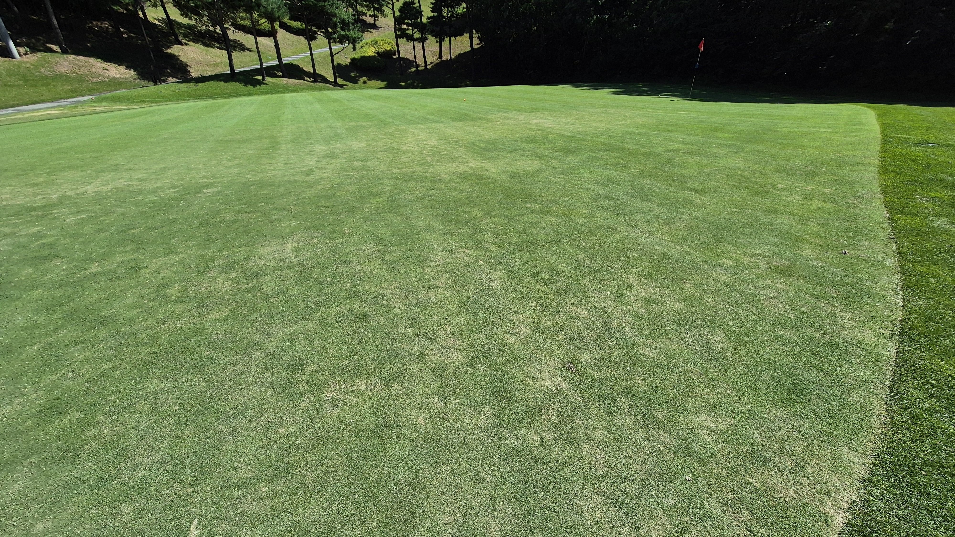 골프존카운티 화랑 라운드 후기