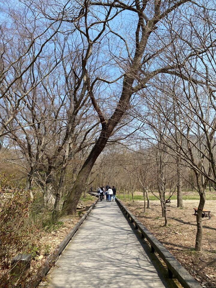고창 선운사에서 도솔암으로 가는 길