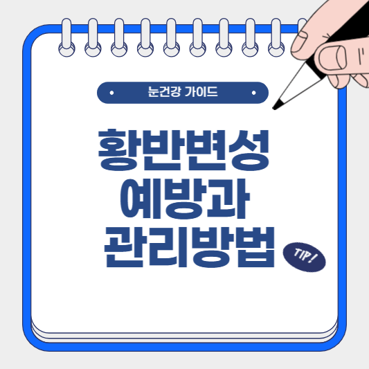 황반변성 예방과 관리 방법