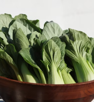 청경채 효능 부작용 고르는법 칼로리