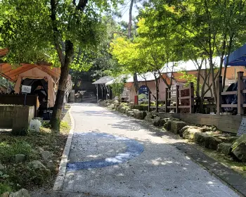 서울대공원 캠핑장 예약_9