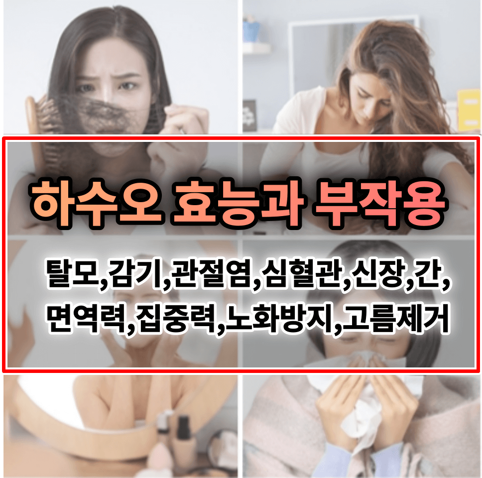 하수오 효능