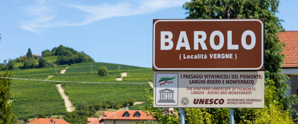 ํ๊ณ ๋ฒ์ฏ ํ๊น & ๋ฐ๋กค๋ก(Barolo) ์์ธ ํ์ด๋ง๏ฝ๋ฐ์ญํ ์๊ฐ๊ณผ ์ฅ๋ฏธ·ํ ๋ด์์ ๊น์ ํ๋ชจ๋