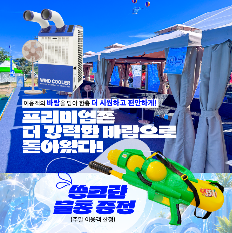 안동 수 페스타