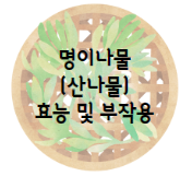 이 이미지를 클릭하시면 명이나물(산나물) 효능과 부작용에 관한 포스팅으로 이동 됩니다