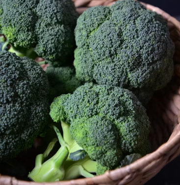 위염에 좋은 음식 영양제 식단