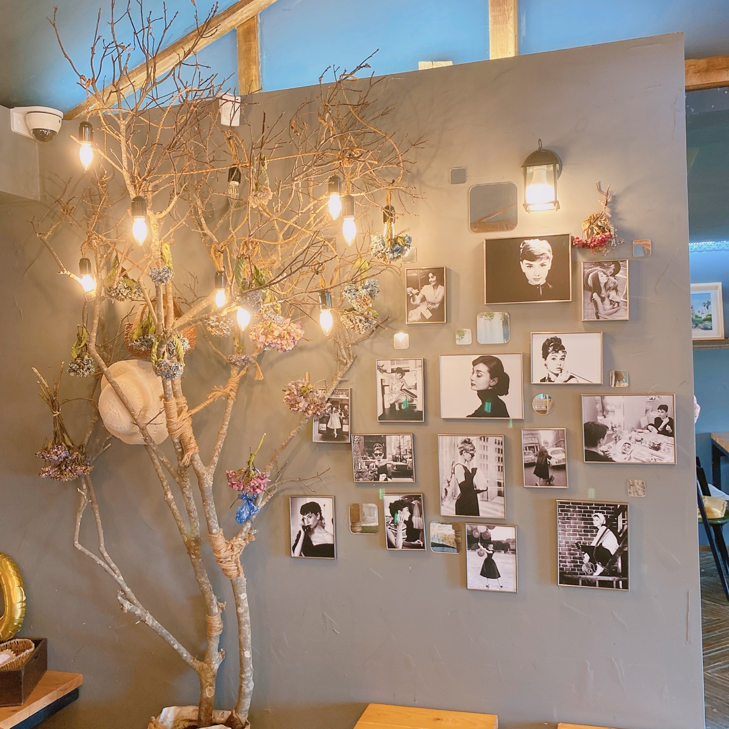 제주 금오름 오드리카페