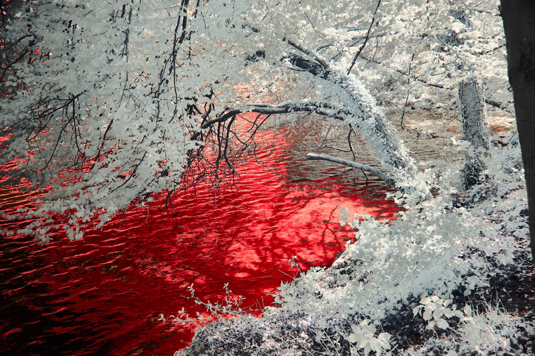 Hemorrhage