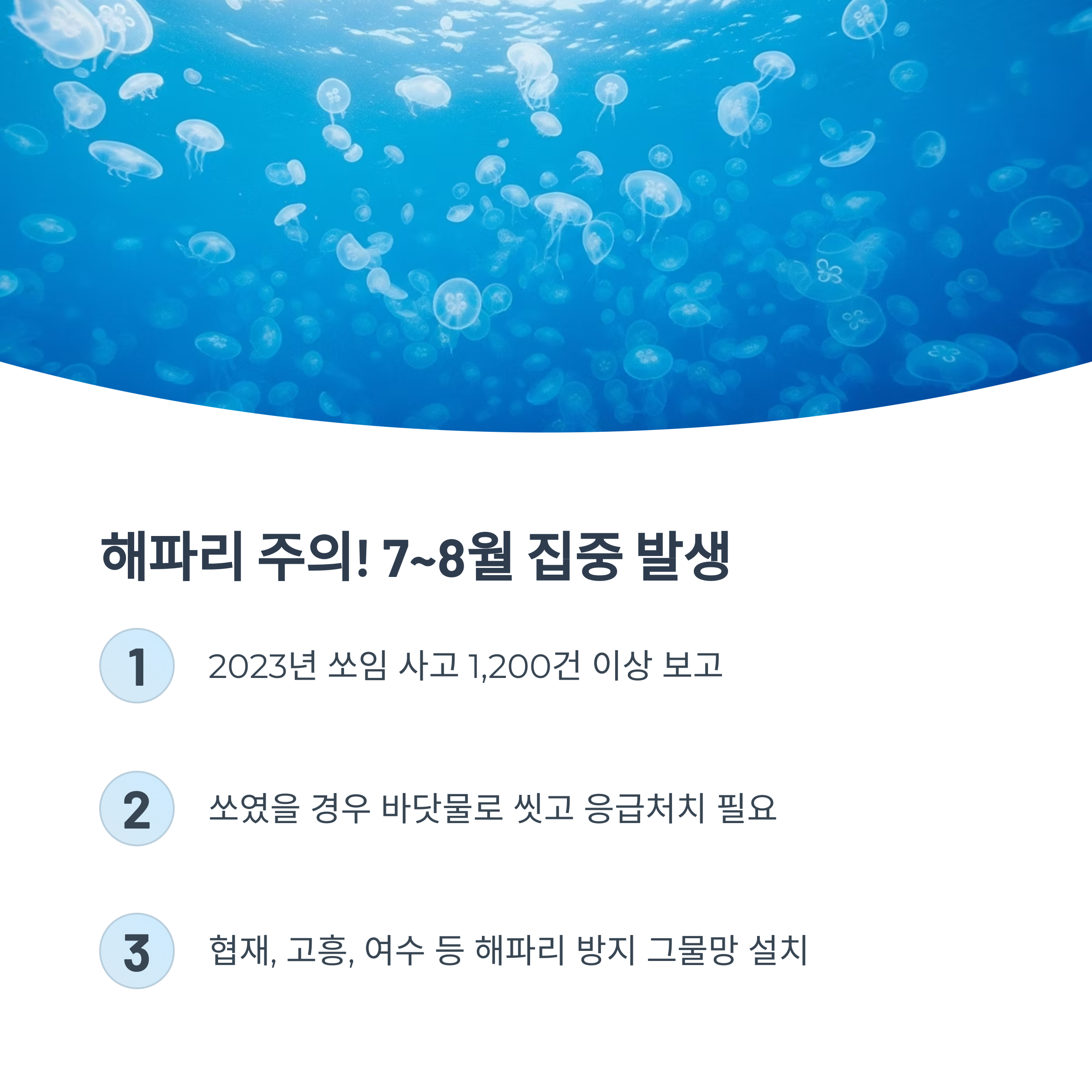 해파리 주의! 7~8월 집중 발생