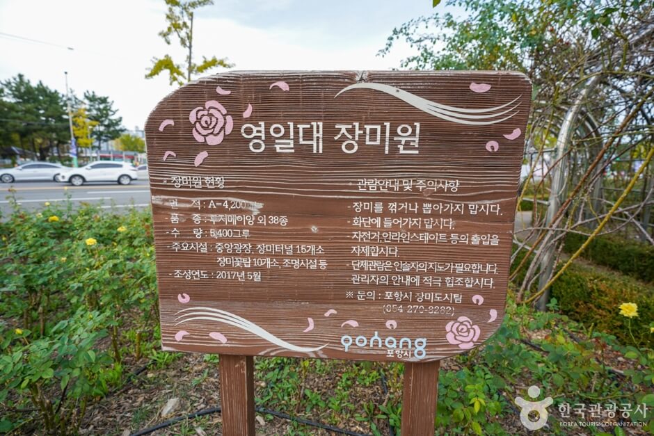 영일대 장미원