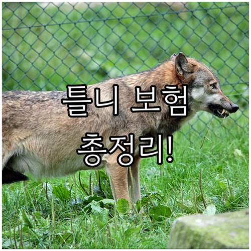 부분/전체 틀니 보험 적용 총정리: 