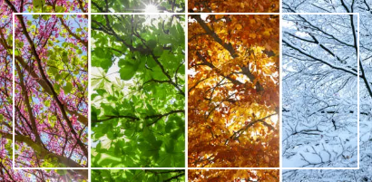 아이들을 위한 계절 구분 교육