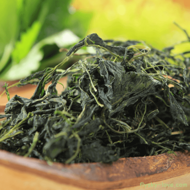 미역취 먹는 방법