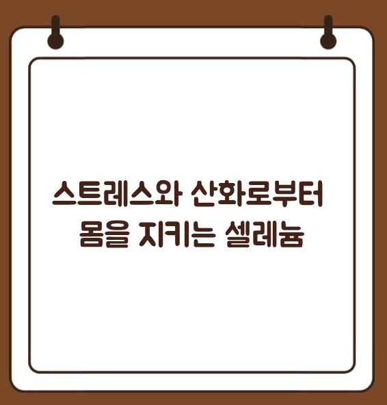 셀레늄 효능