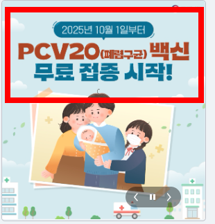 75세이상 독감 예방접종 대상, 시기 알아보기