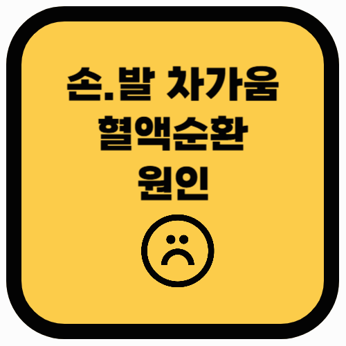 손발 차가움의 원인과 혈액 순환 개선법