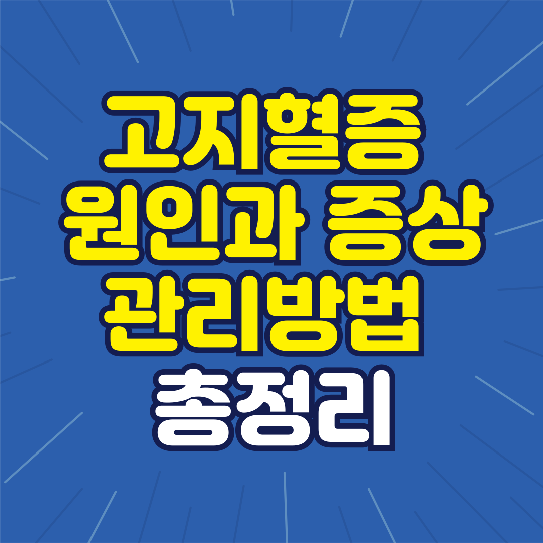 고지혈증 원인 증상 관리 방법 총정리