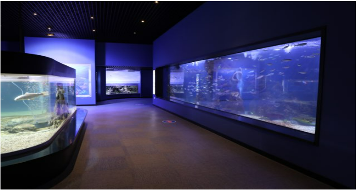 여수 가볼만한 곳