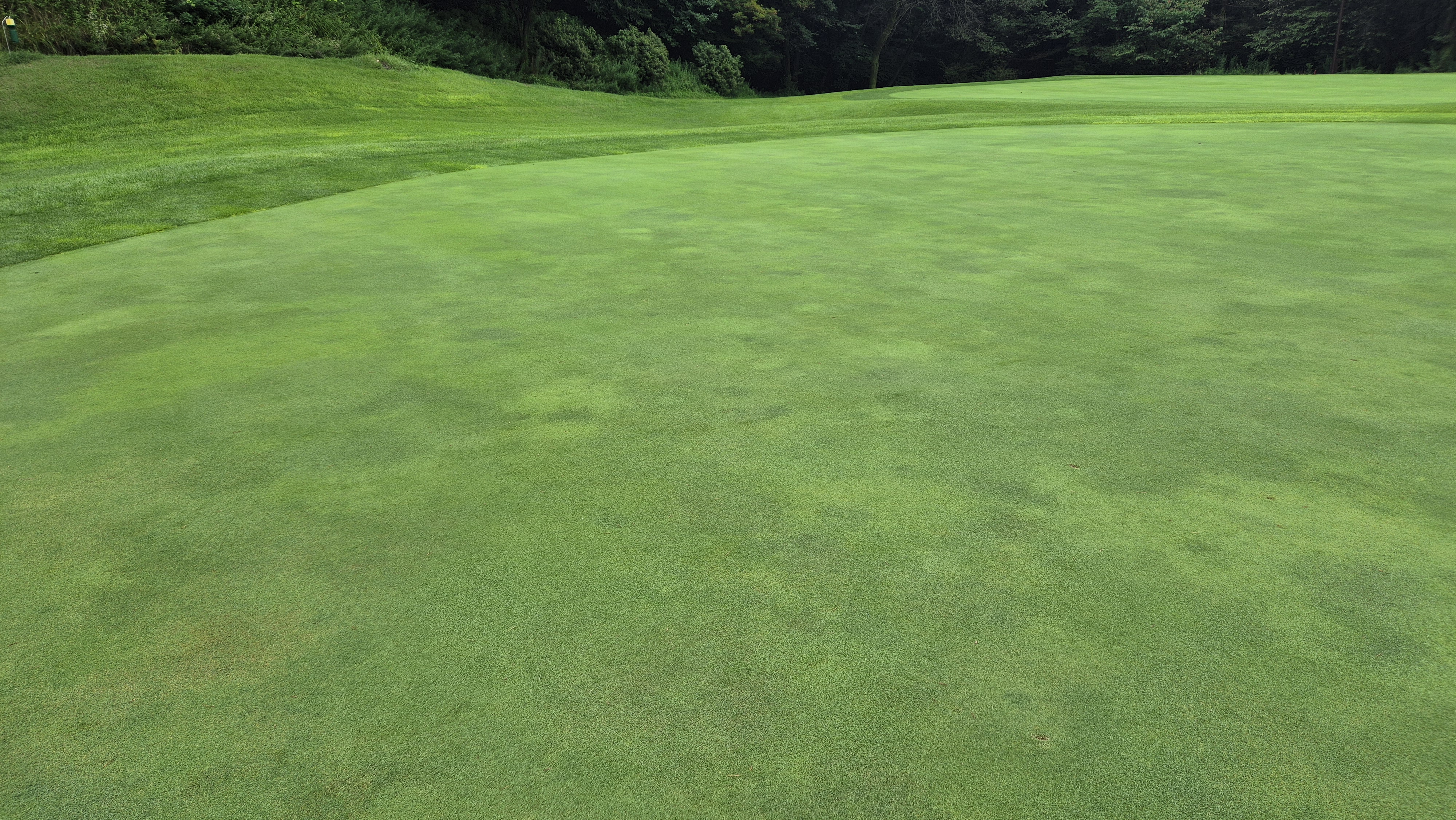 뉴서울cc 예술in-문화in 코스 라운드 후기