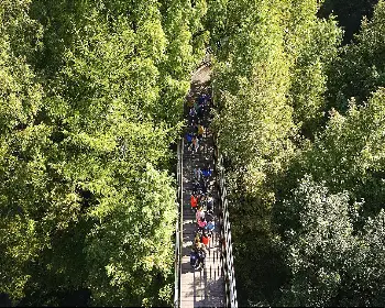 장태산 자연휴양림 예약_38