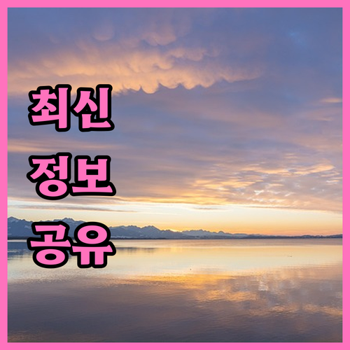 2025년 안양시 체육시설 50% 할..