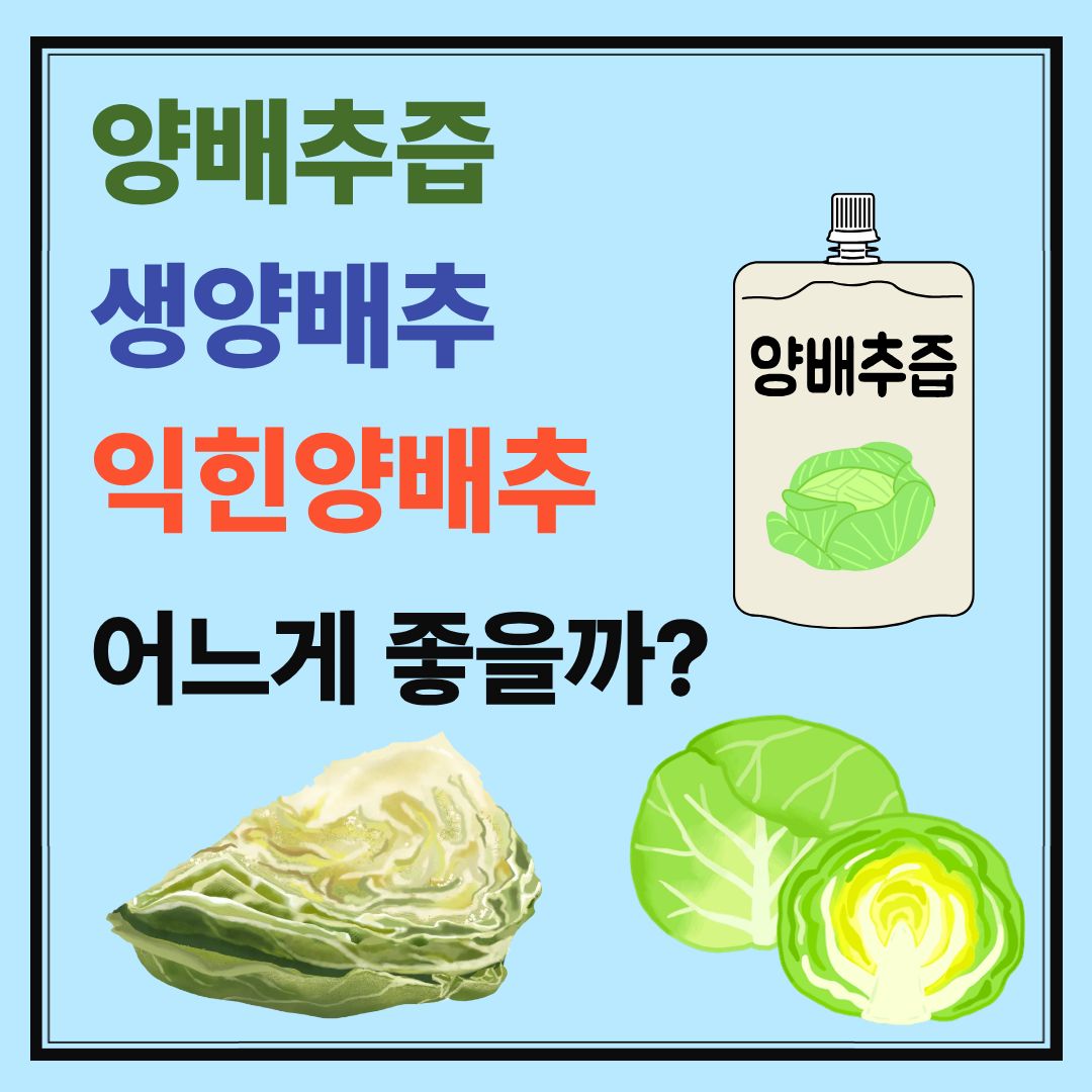 양배추즙