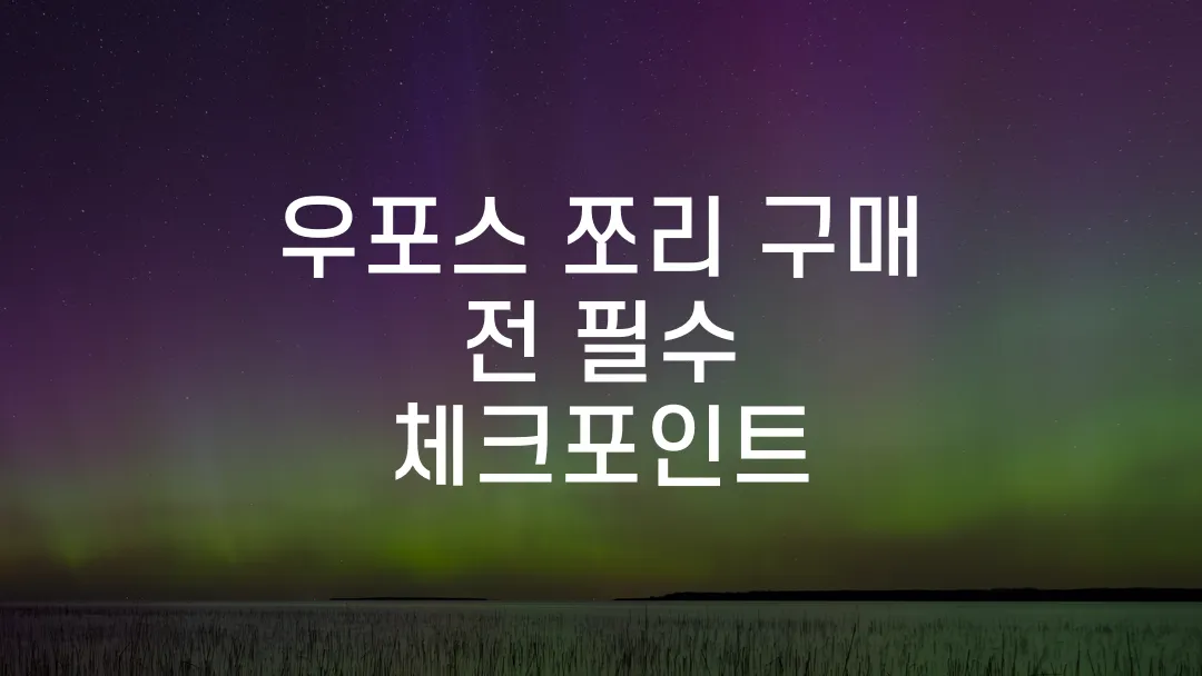 우포스 쪼리 구매 전 필수 체크포인트