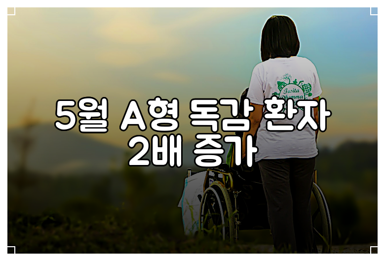 5월 A형 독감 환자 2배 증가