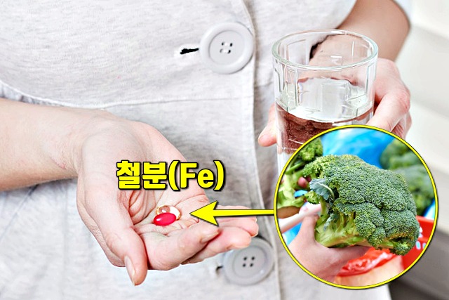 발이 피곤할때 피로 푸는법,철분 부족 증상,팁줌