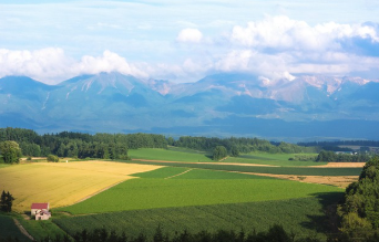올리브영 가맹점찾기 &amp;#124; 가장 가까운 매장 쉽게 찾는 법 4