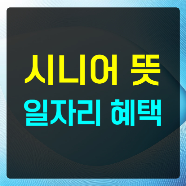 시니어 뜻 일자리 혜택 : 프리 시니어, 액티브 시니어, 실버 시니어 뜻 의미