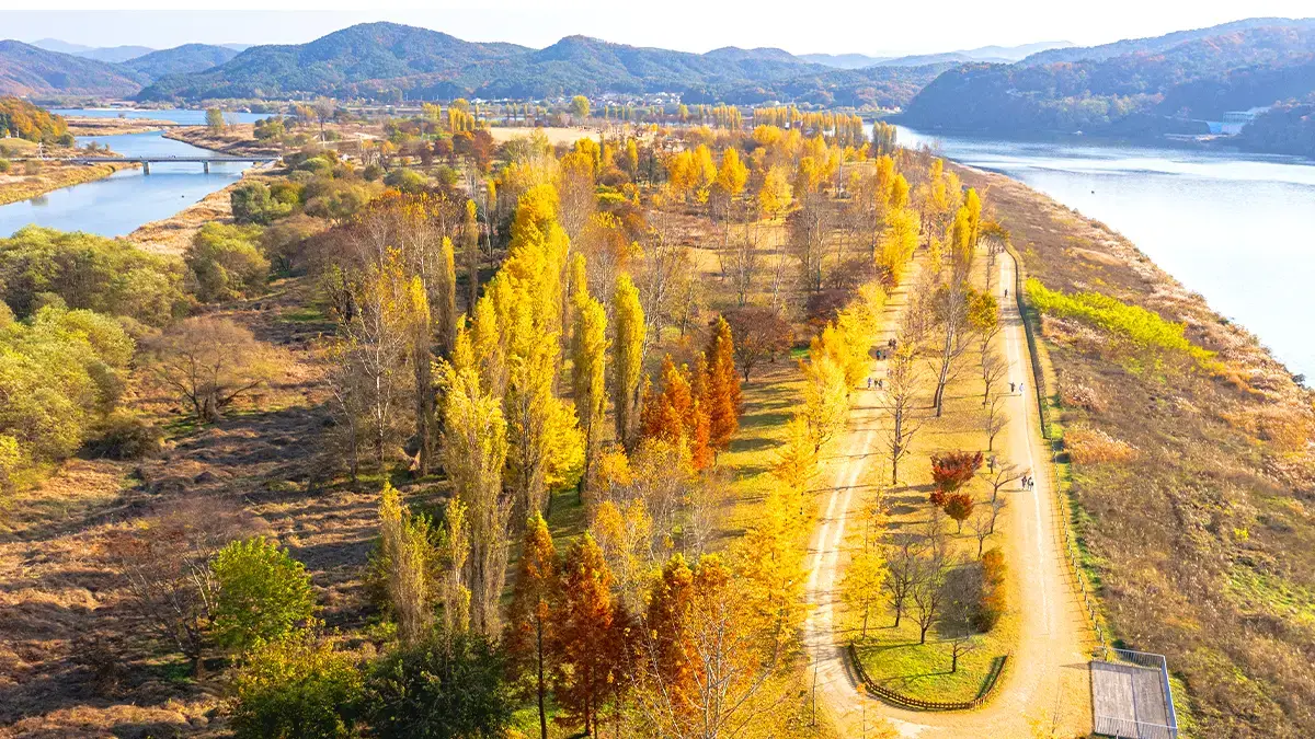 강천섬유원지 (경기도 여주)