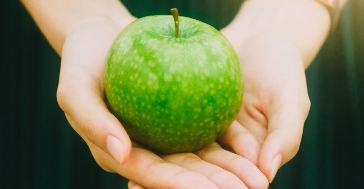 병원-처방전-인터넷으로-쉽게-조회하기