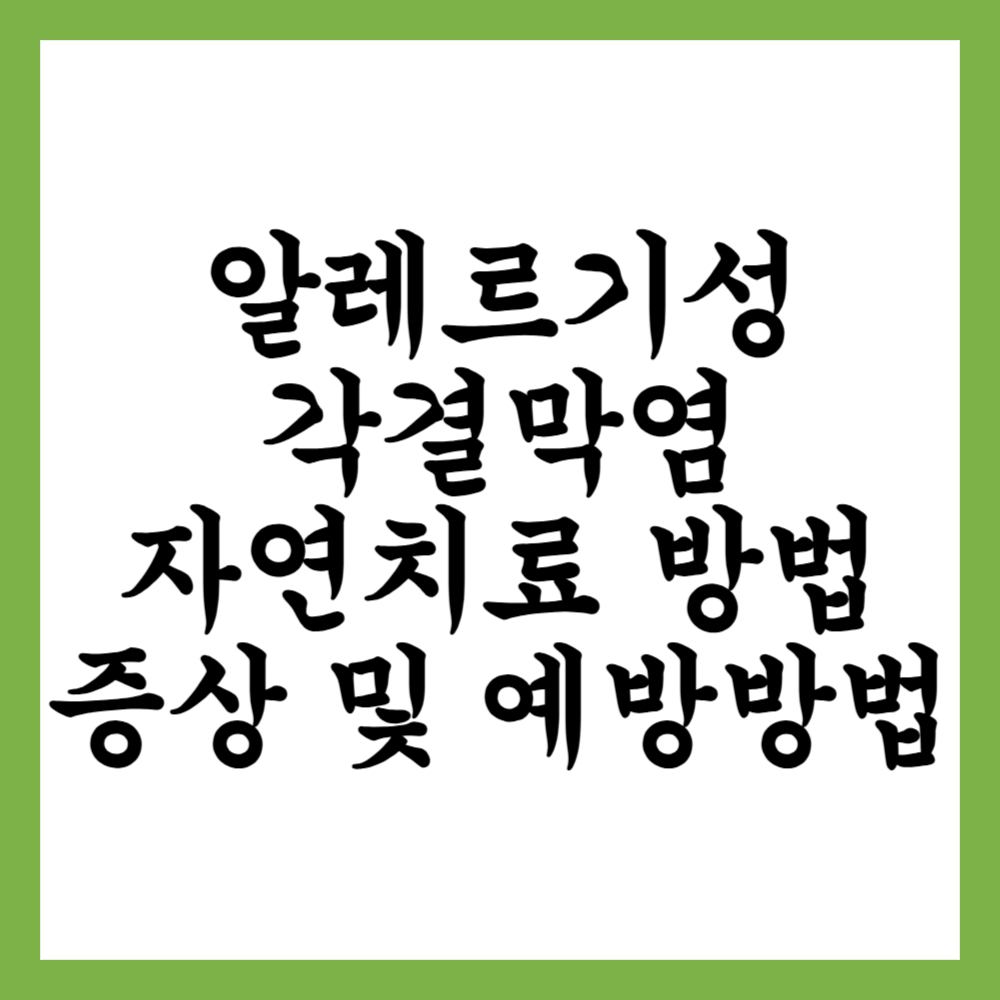 알레르기성 각결막염 자연치료 방법 (증상 및 예방방법)