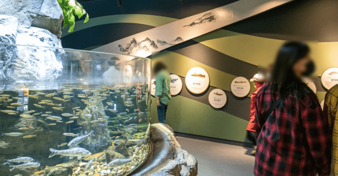 화담숲 모노레일