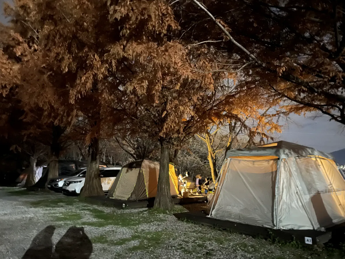 서울-근교-30분거리-경기도-캠핑장-추천-양주-봄이오는캠프-2박3일-후기