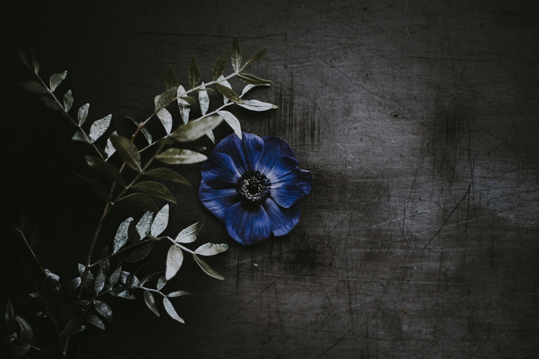 Death Benefit