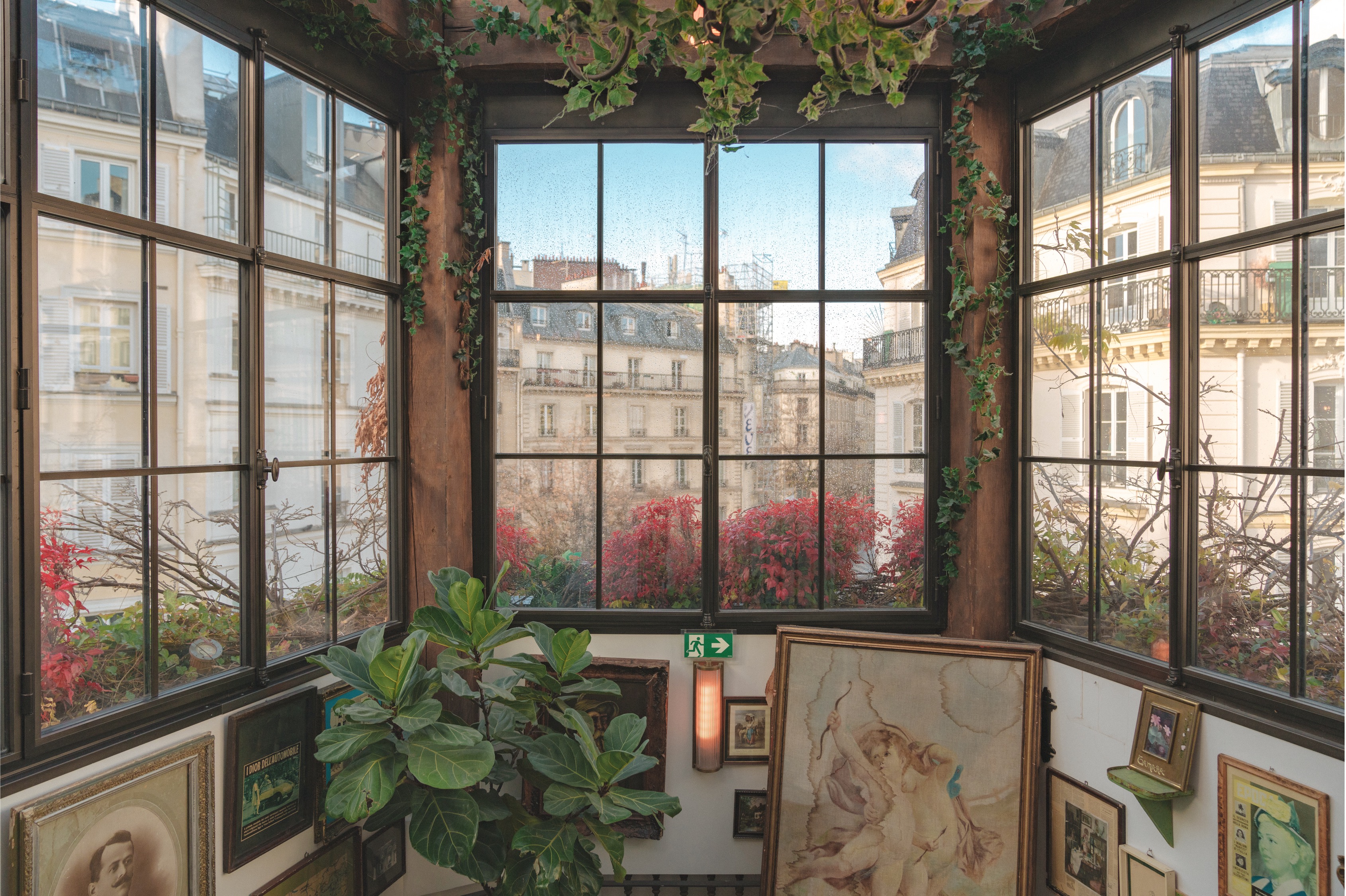 갤러리 창문 사이의 파리 풍경