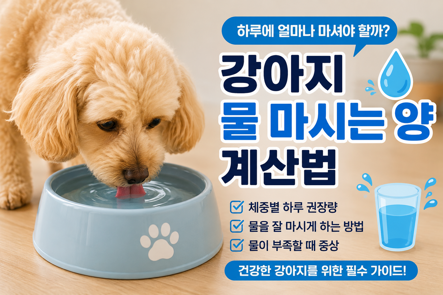 강아지 물 마시는 양 계산법