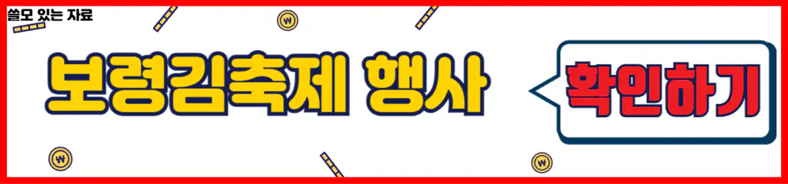 보령김축제 행사 정보