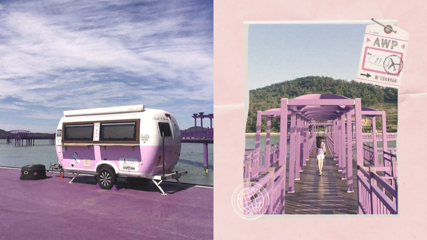 신안 퍼플섬 여행 가이드 - 보랏빛 낭만 속으로!