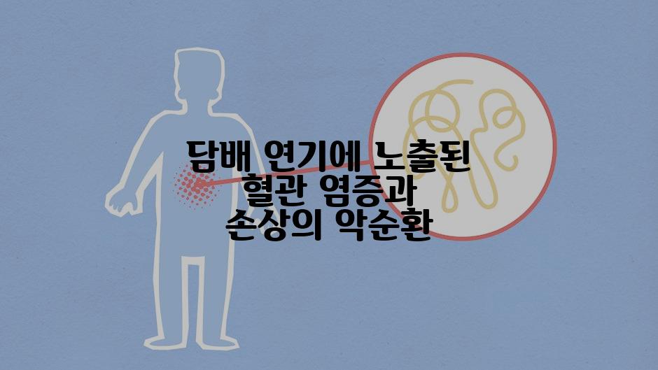 담배 연기에 노출된 혈관 염증과 손상의 악순환