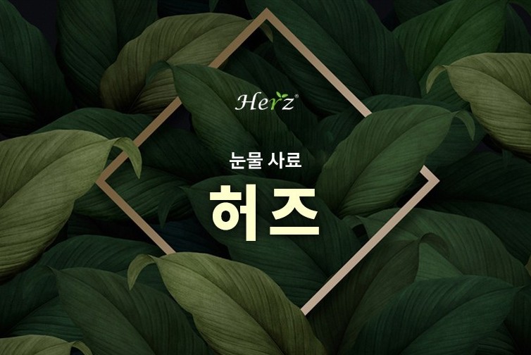 강아지 사료 추천