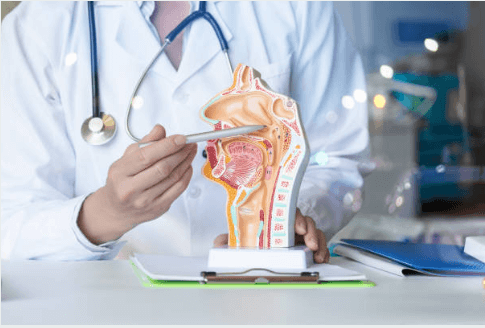 이명의 증상 원인 치료방법 상세정리