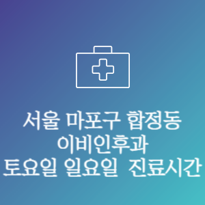 서울 마포구 합정동 이비인후과 주말 토요일 일요일 문여는 병원 진료시간